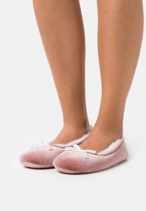 Balerini Dama Anna Field 2 Pack Slippers Albastri Inchis | 57649-IYAD