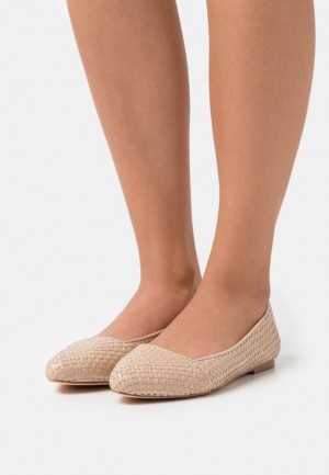 Balerini Dama Anna Field Ballet Pumps Albi | 84920-HRBJ