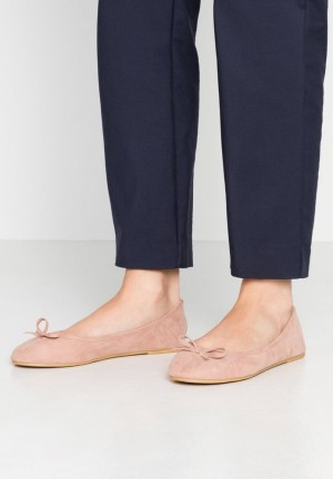 Balerini Dama Anna Field Ballet Pumps Bej | 48203-AOGZ