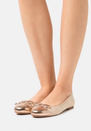 Balerini Dama Anna Field Ballet Pumps Bej | 42095-QPNT