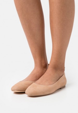 Balerini Dama Anna Field Piele Confort Ballet Pumps Bej | 71654-WVGT