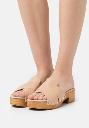 Papuci Dama Anna Field Piele Clogs Bej | 54017-NPQC