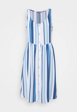 Rochie Dama Anna Field Day Rochie Albastri | 57469-SKLM
