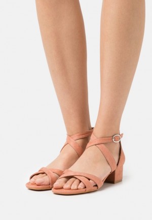 Sandale Dama Anna Field Confort Sandals Corai | 29701-PNSV