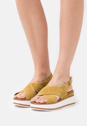 Sandale Dama Anna Field Piele Platforma Sandals Maro | 14062-WHNP