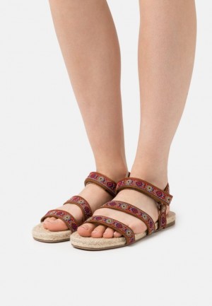 Sandale Dama Anna Field Sandals Visinii | 96750-WAKP